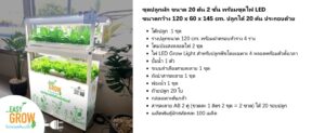 บริษัท เอไอ อินโนเวทีฟ พลัส จํากัด